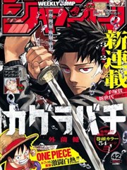 漫画是什么意思-欧美图像小说装帧示例